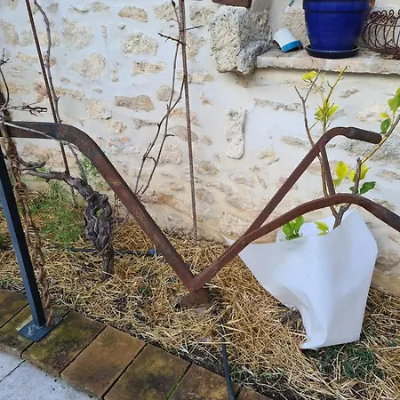 Insolite 3* Sussargues